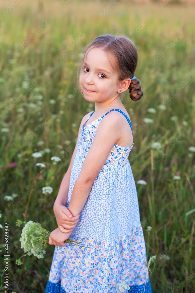 A little blonde girl walks through a summer wheat field in a long blue sundress. The child smiles and looks at the camera. A little blonde girl walks through a summer wheat field in a long blue sundress. The child smiles and looks at the camera.