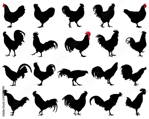SVG Black silhouettes of roosters and hens on a white background	