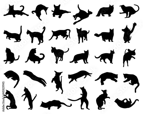 Fototapeta Naklejka Na Ścianę i Meble -  SVG Black silhouettes of cats on a white background