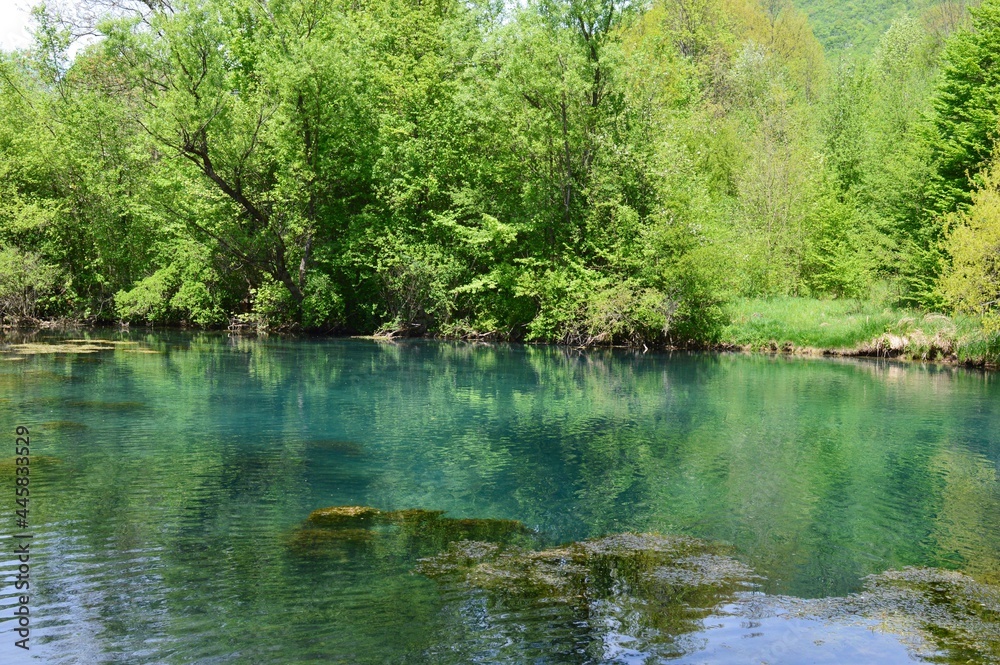 landscape of a clean green river