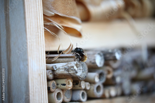Insektenhotel