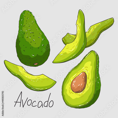 Healthy food. Ripe sliced green avocado. Isolated clipart set.