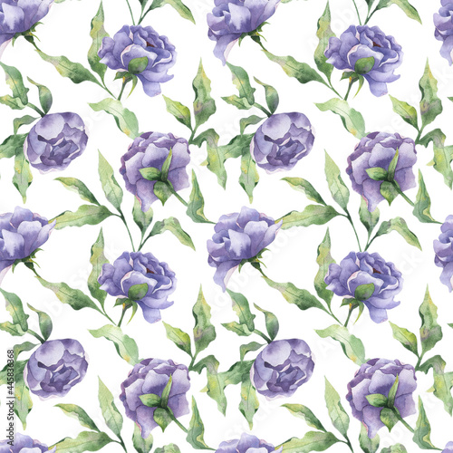 Watercolor seamless pattern with peony buds, lilac peony flowers with leaves on a white background. Botanical illustration for clothing, bed linen, packaging, design