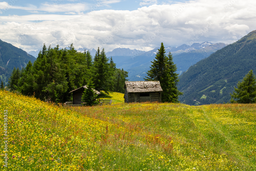 eine alte Berghütte inmitten einer wunderschönen Wiese im Hochtauern Nationalpark nahe Matrei, Osttirol Österreich eine alte Berghütte inmitten einer wunderschönen Wiese im Hochtauern Nationalpark nahe Matrei, Osttirol Österreich