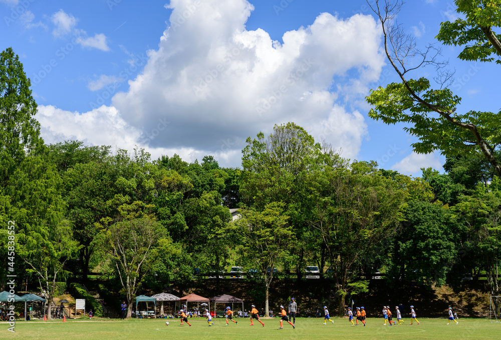 夏の光る青空の下で少年サッカーの練習風景