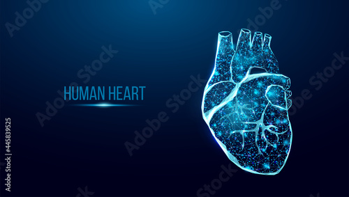 Human heart wireframe. World heart day concept. Banner template glowing low poly. Futuristic modern abstract. Isolated on dark background. Vector illustration.