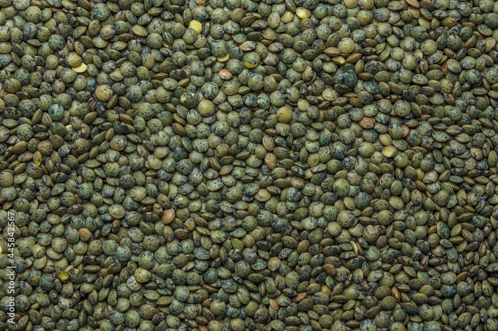 French green lentils (le puy green lentils PDO, AOC) (Lens esculenta puyensis ) top view macro detail backdrop close-up uncooked raw French green lentils (le puy green lentils PDO, AOC) (Lens esculenta puyensis ) top view macro detail backdrop close-up uncooked raw