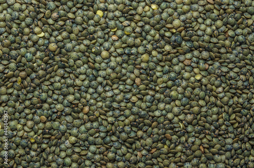 French green lentils (le puy green lentils PDO, AOC) (Lens esculenta puyensis ) top view macro detail backdrop close-up uncooked raw