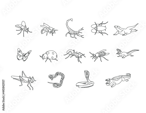 Insects line art clipart set , reptiles & amphibians - House fly, honey bee, scorpion, cockroach, lady bird, ant, butterfly, wasp, glass hopper,