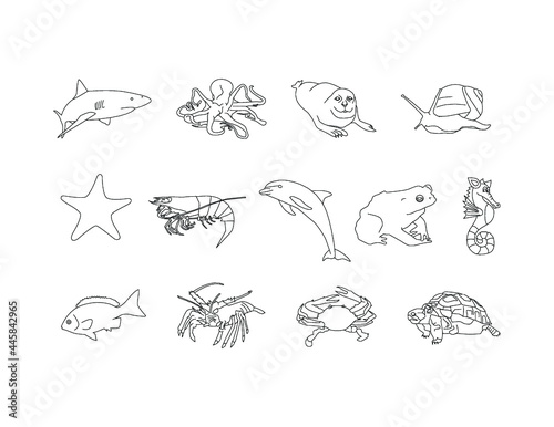 See Creatures line art clipart set - Shark, octopus, sea loin seal, snail, sea horse, star fish, prawn, dolphin, toad, fish, lobster,crab, tort