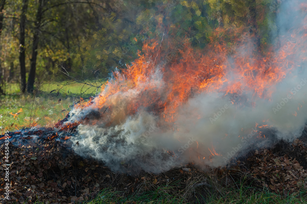 Fire and smoke of a bonfire in the meadow. Fire and smoke of a bonfire in the meadow.
