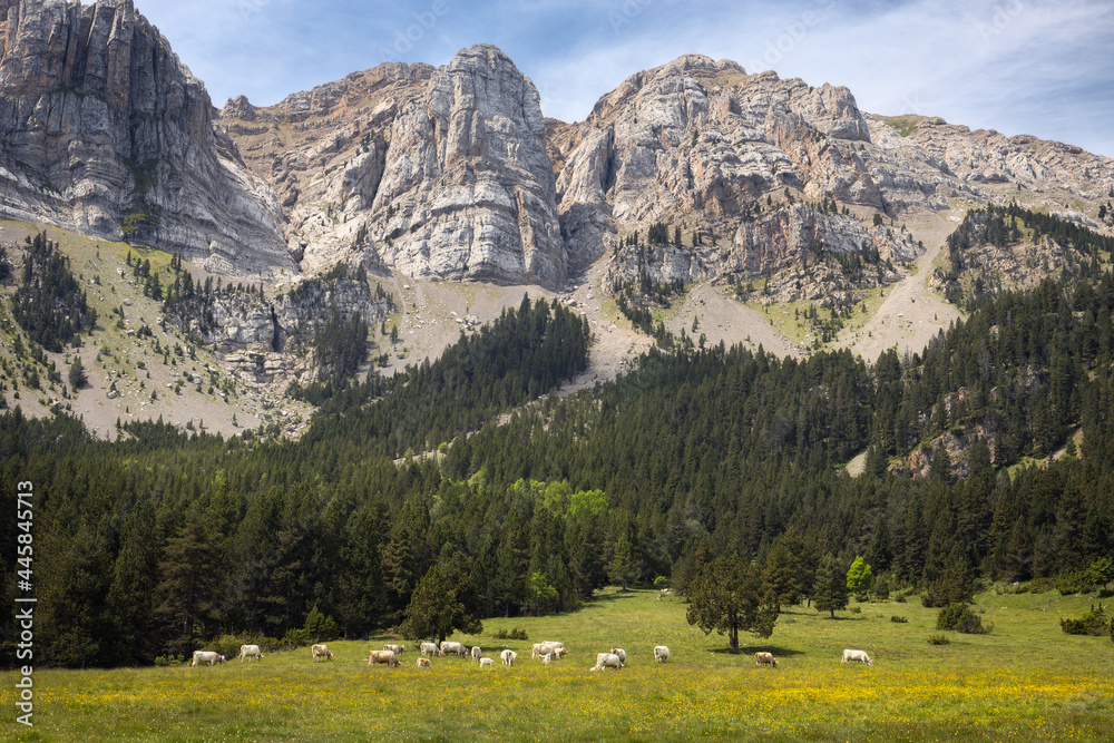 Prat de Cadi in Pyrenees Range, Cerdanya, Catalonia