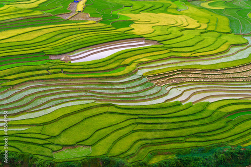 Terraced rice field in water season in Mu Cang Chai, Yen Bai Vietnam © CongHiep