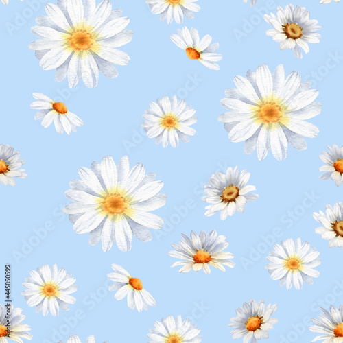 Daisy floral seamless pattern. Handpainted watercolor illustration for fabric, packaging, wallpaper design. Cute summer camomile graphic. Repeat ornament. White flowers on blue background