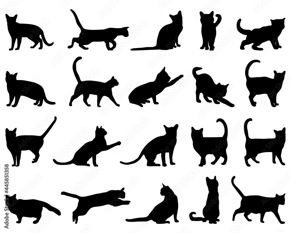 SVG Black silhouettes of cats on a white background