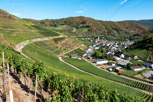 Village of Mayschoß as seen from the 'Rotweinwanderweg', the Red Wine Hiking Trail. Ahrweiler District, Rhineland-Pflaz, Germany photo