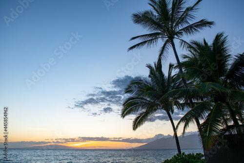 Tropical sea beach with sand, ocean, palm leaves, palm trees and blue sky. Summer beach background.