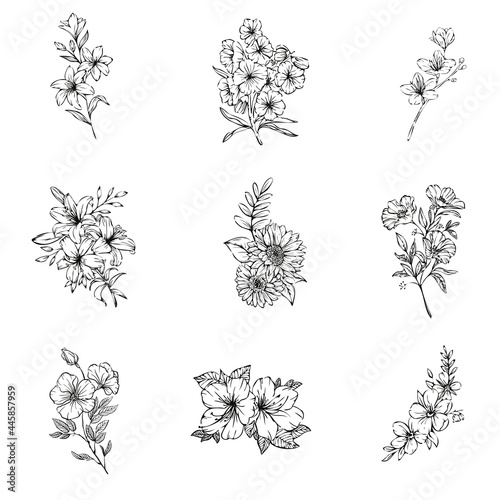 Wallpaper Mural set of flowers hand drawn Torontodigital.ca