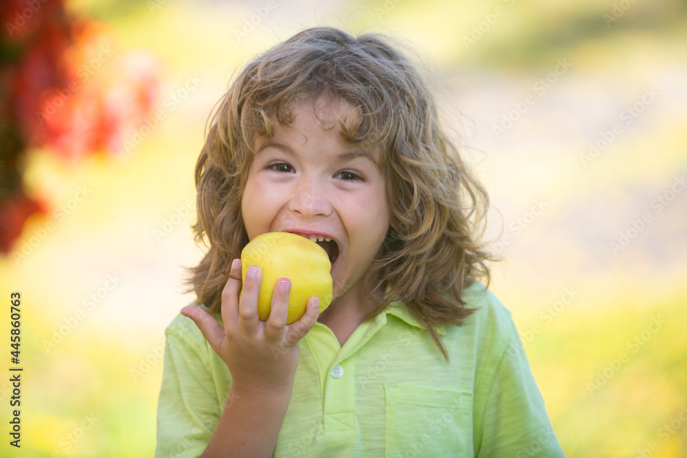 Healthy eating. Happy little child holding apples in summer green park. Healthy eating. Happy little child holding apples in summer green park.