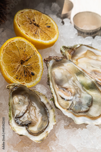 fresh oysters with lemon on ice with a glass of wine