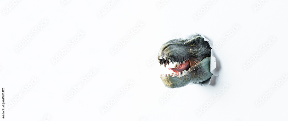 Obraz premium T Rex Dinosaur monstrous animal with sharp teeth breaking through the white paper background