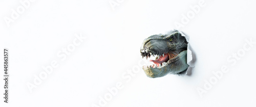 T Rex Dinosaur monstrous animal with sharp teeth breaking through the white paper background © brankospejs