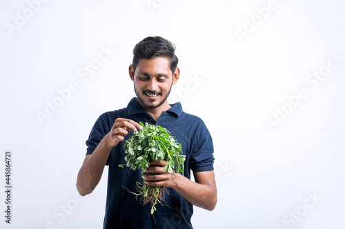 Young man holding fenugreek leave bunch in hand.