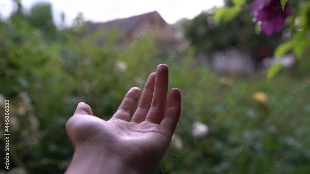 woman hand play catching rain drops on blurred fall background. Pure fresh ecology plant soil crop, rainy spring weather joy under waterfall splash, girl life health, farm growth garden concept woman hand play catching rain drops on blurred fall background. Pure fresh ecology plant soil crop, rainy spring weather joy under waterfall splash, girl life health, farm growth garden concept