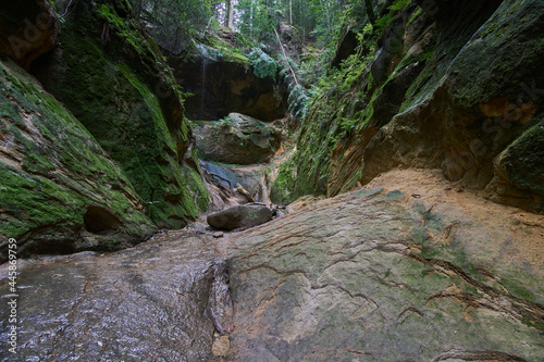 Wodospad Czarownic znajdujący się w wąwozie Cięzkowickim w Rożnowskim Parku Krajobrazowym. 
