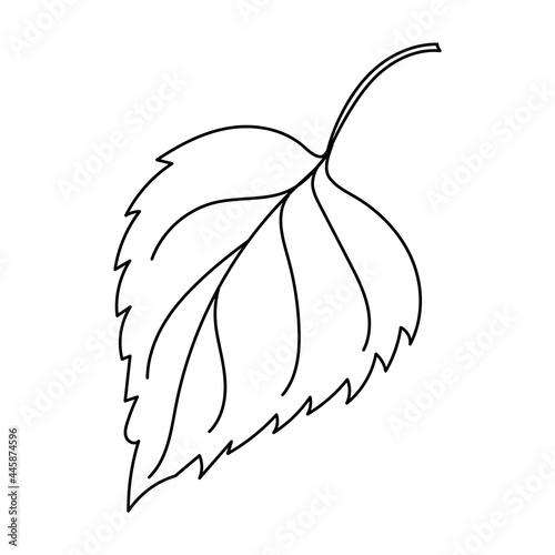 Autumn leaf in a linear style organic natural tree leaf. Isolated outline drawing modern minimalistic outline illustration isolated on white.