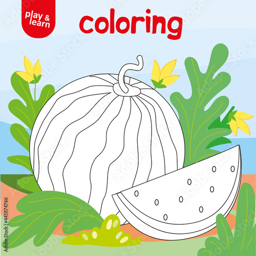 Cute Watermelon in Garden Coloring for Child photo