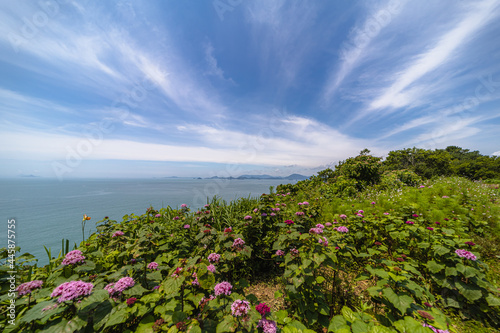 바닷가 작은 섬위의 꽃이 가득한 정원과 바다 풍경 © Sepe44