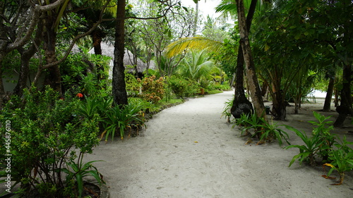 malediven kuramathi photo