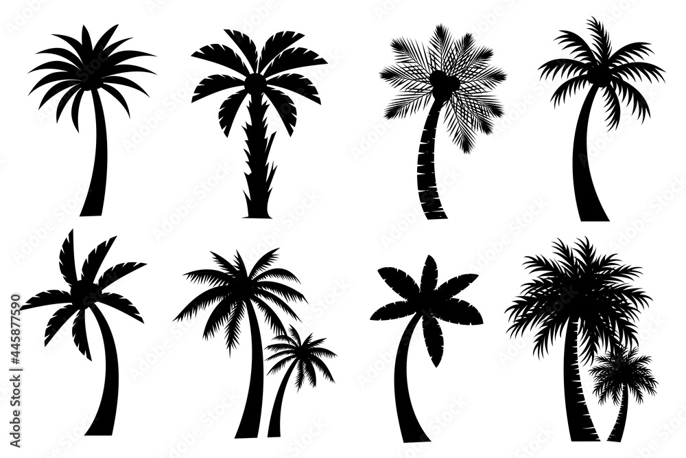 Collection of Black Coconut trees or palm trees Icon. Can be used to illustrate any nature or healthy lifestyle topic.