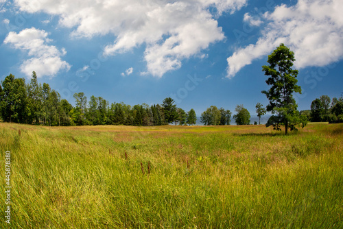 Summer scene in the Adirondacks