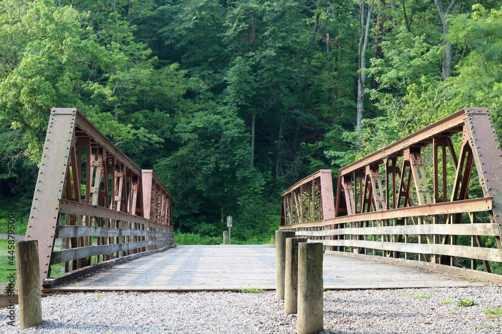 Fototapeta premium The pathway over the steel footbridge in the park.