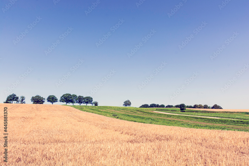 Fototapeta premium landscape