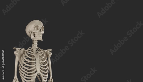 skeleton posing 3d render 