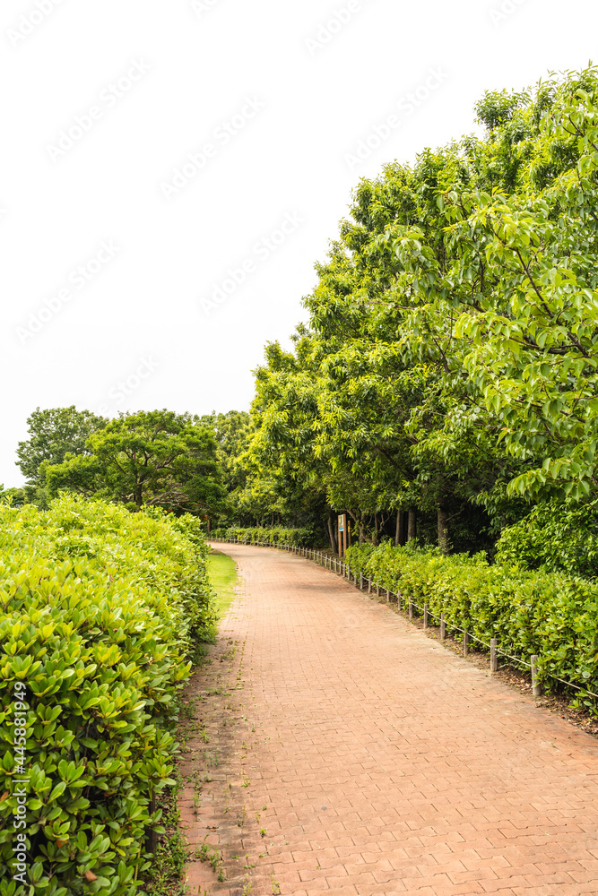 美しい公園の脇道 美しい公園の脇道