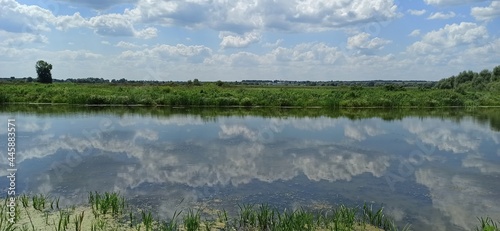 The sky with clouds is reflected in the water surface. Green plants on the river bank. Duckweed on the surface of river water. 