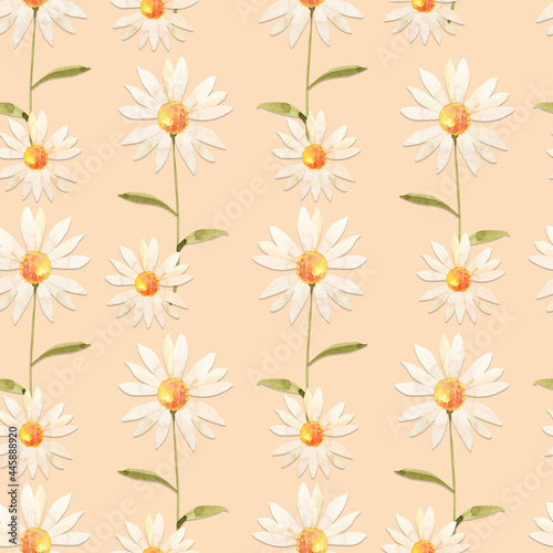 Seamless pattern with white meadow chamomile flowers on a beige background  watercolor illustration.
