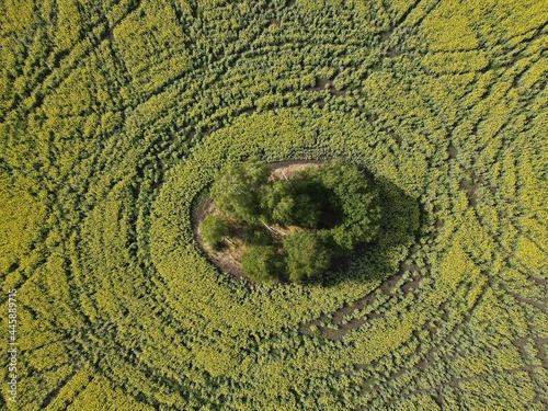 green texture