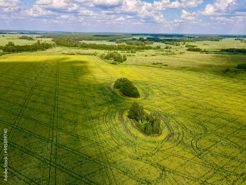 field and blue sky