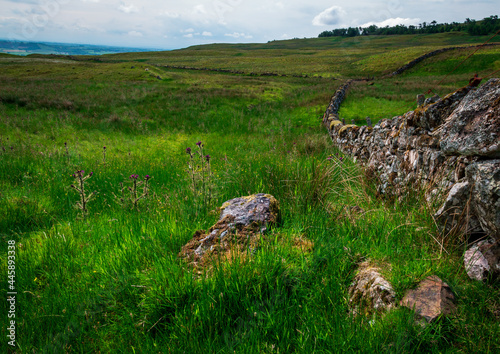 Dry stone wall, Mistylaw Muir, Renfrewshire, Scotland, UK photo