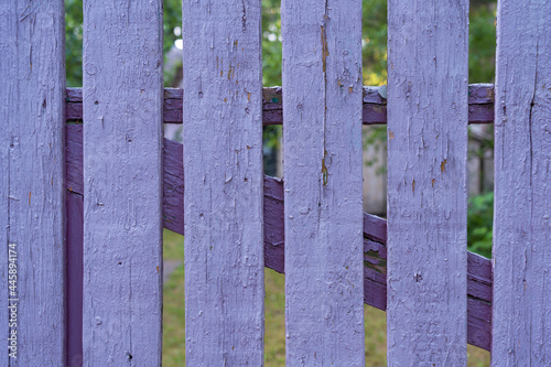 Fragment of an old wooden fence. The planks are painted purple, the texture of the previous layers of paint is visible. Frame boards and vegetation are visible in the gap. Background.