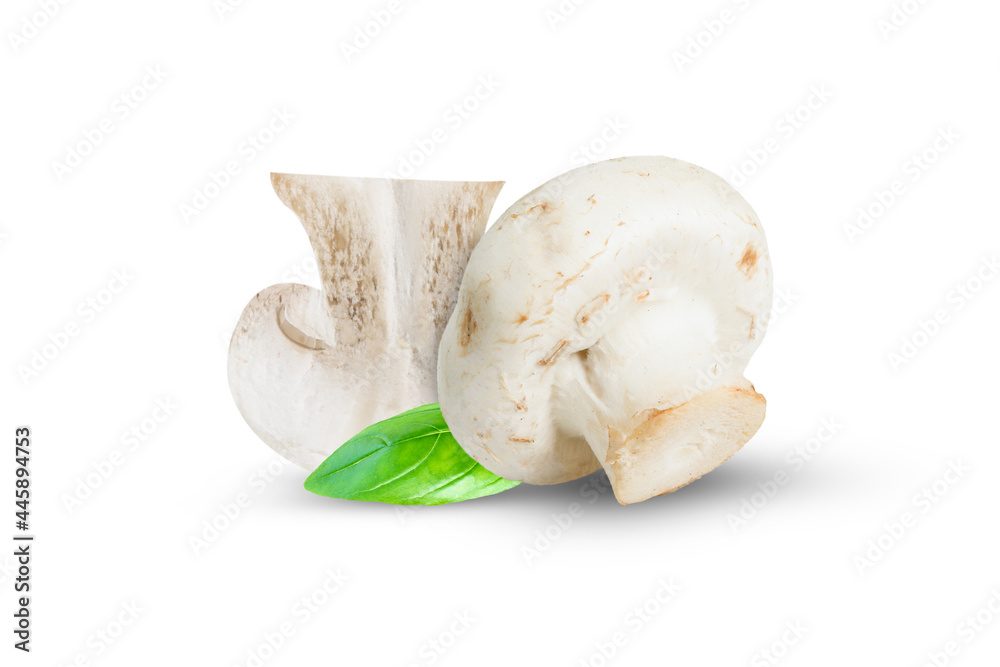 Fototapeta premium Champignons on isolated white background