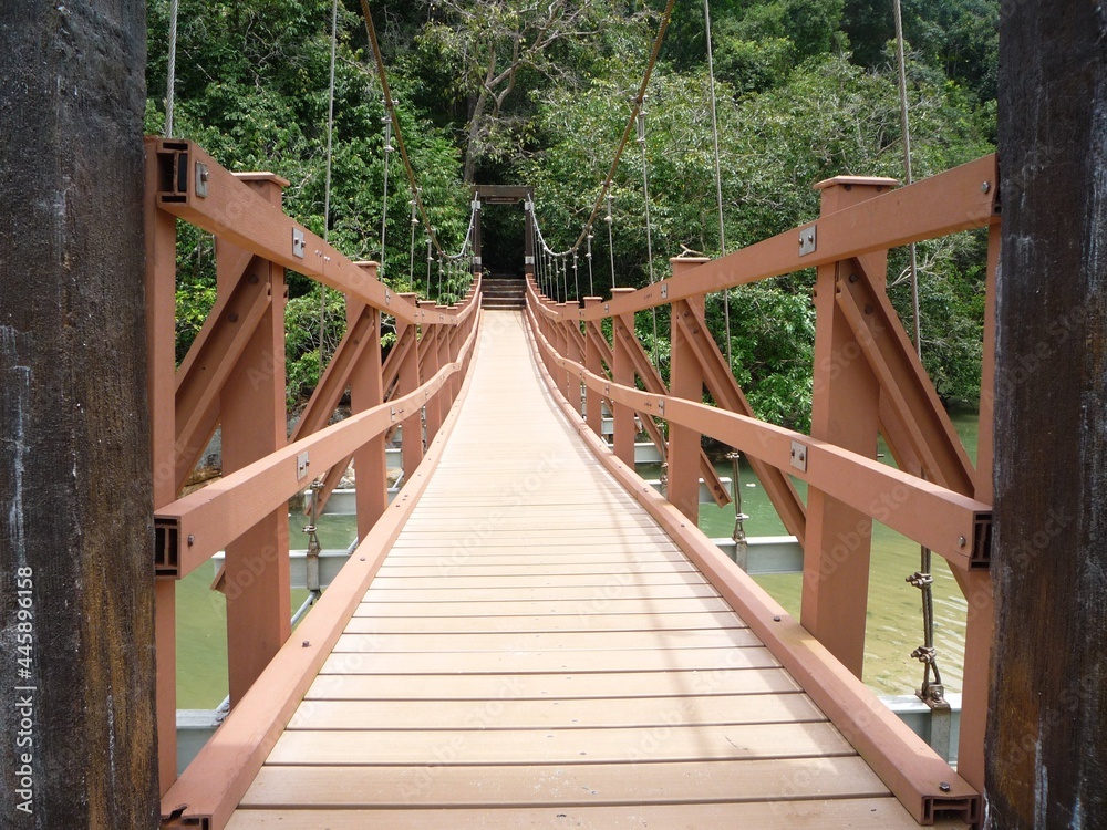 Wooden bridge in the forest