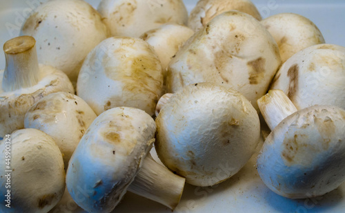 Champignon mushrooms, photo on a white table