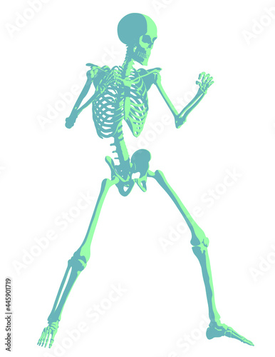 skeleton vector fighting pose