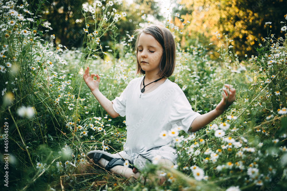Girl in the field with daisies, childhood and summer vacation concept Girl in the field with daisies, childhood and summer vacation concept